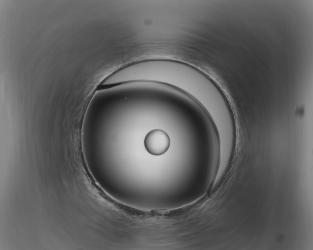 X0000116760385200912241147