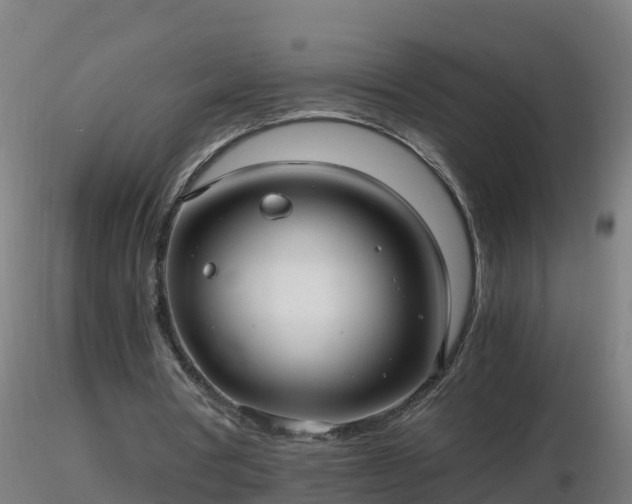 X0000116760386200912241147