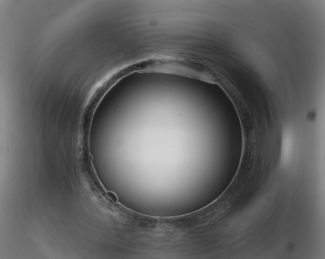 X0000116760388200912241147