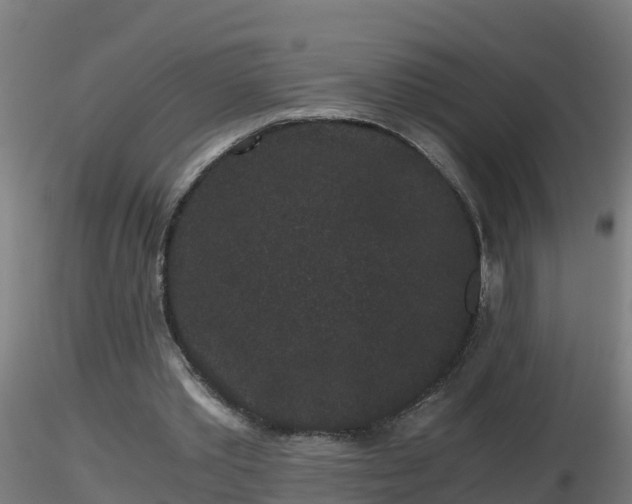 X0000116760389200912241147