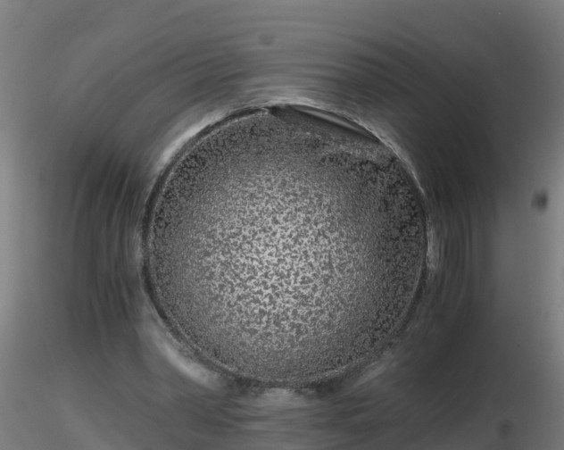 X0000116760390200912241147
