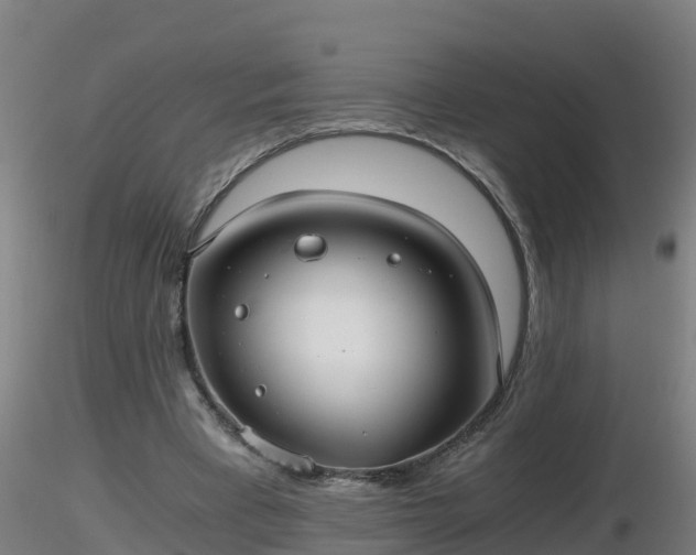 X0000116760393200912241147