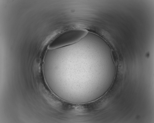 X0000116760395200912241147
