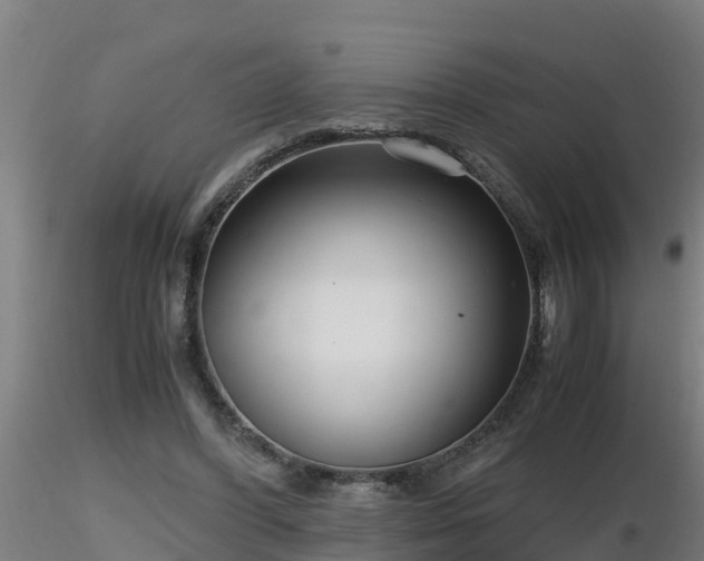 X0000116760396200912241147