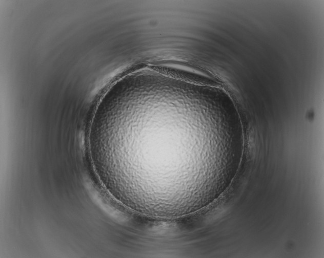 X0000116760398200912241147