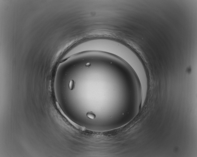 X0000116760399200912241147