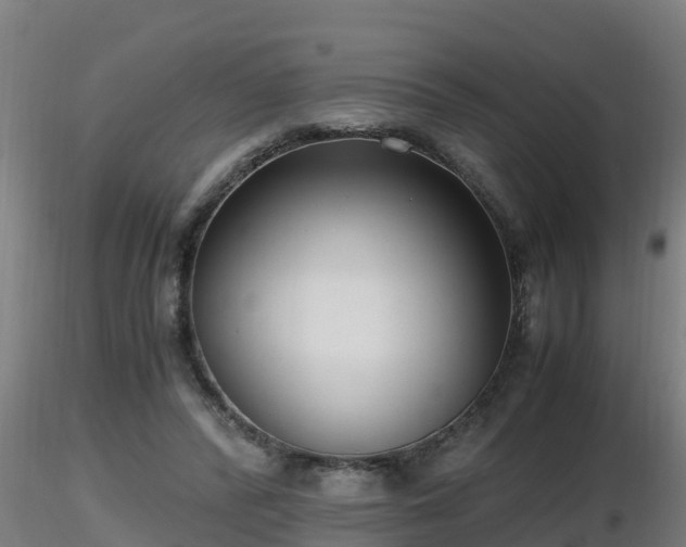 X0000116760400200912241147