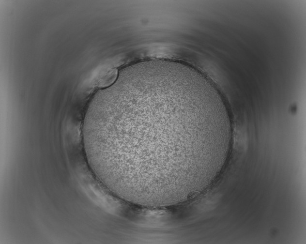 X0000116760401200912241147