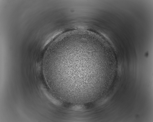 X0000116760402200912241147