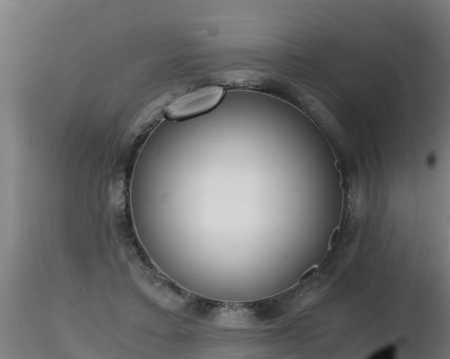 X0000116760403200912241147