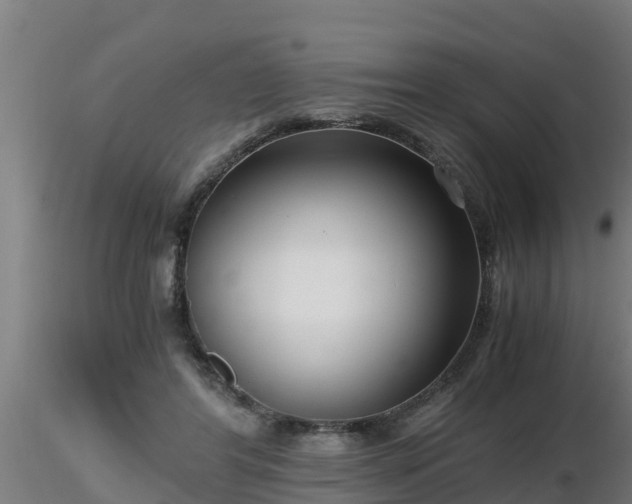 X0000116760404200912241147