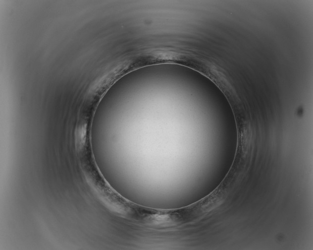 X0000116760406200912241147