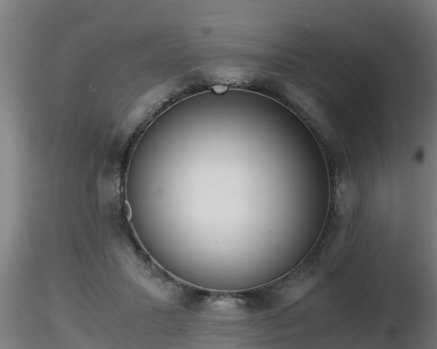 X0000116760407200912241147