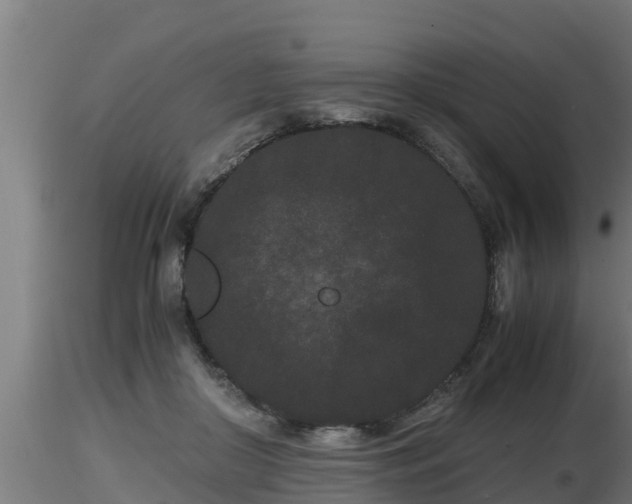 X0000116760410200912241146