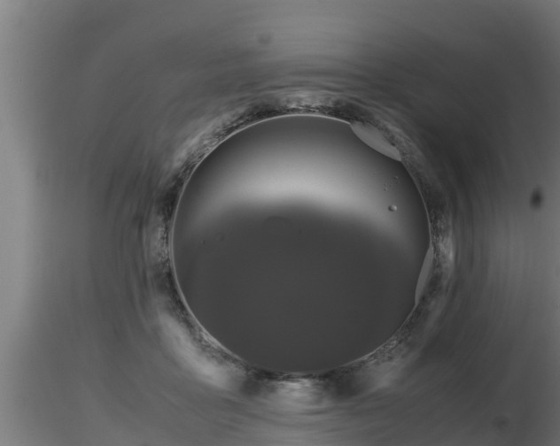 X0000116760411200912241146