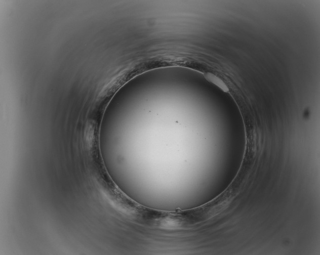 X0000116760412200912241146