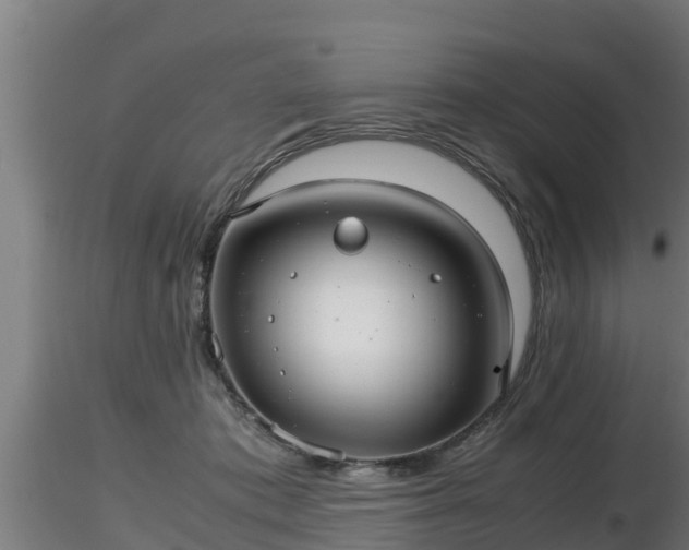 X0000116760413200912241146