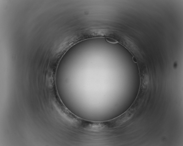 X0000116760414200912241146