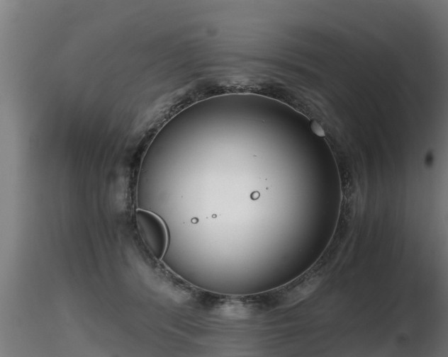 X0000116760416200912241146