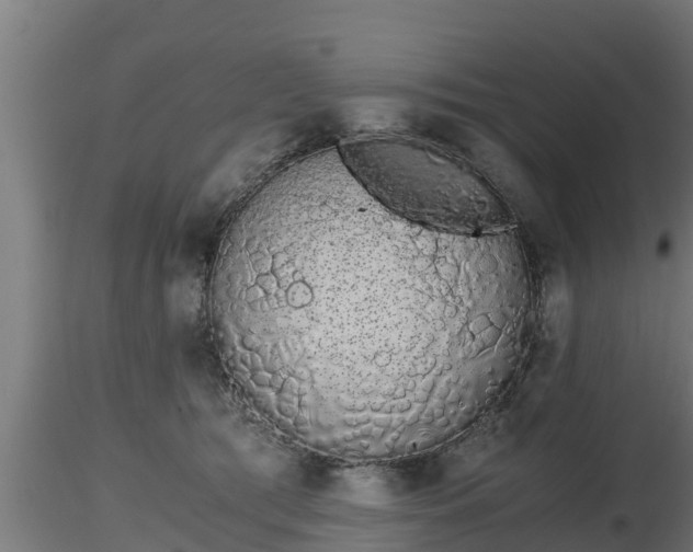 X0000116760417200912241146