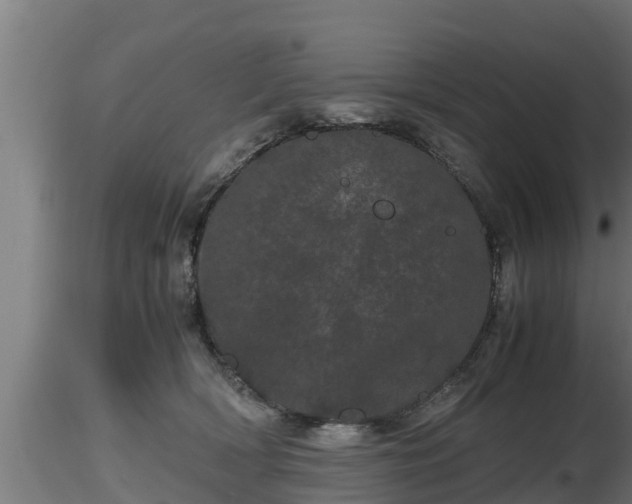 X0000116760418200912241146