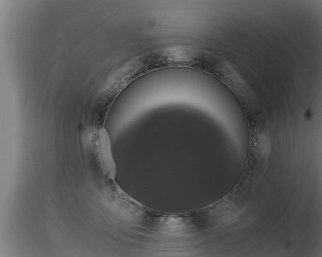 X0000116760419200912241146