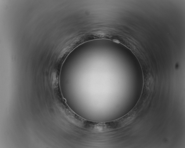X0000116760420200912241146