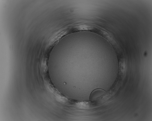 X0000116760422200912241146