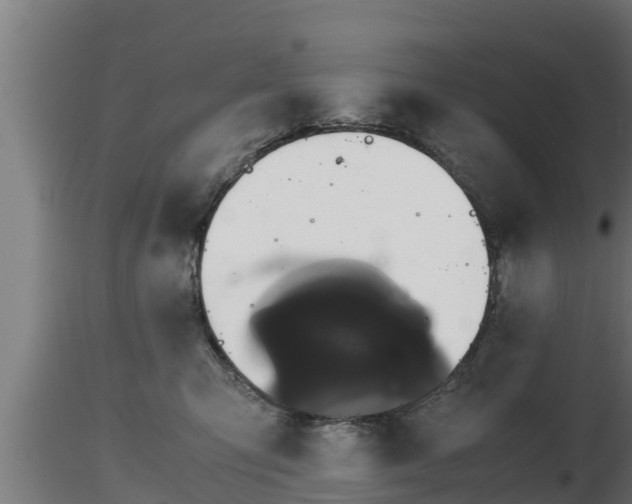 X0000116760423200912241146