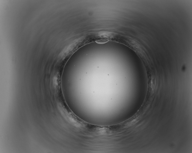 X0000116760424200912241146