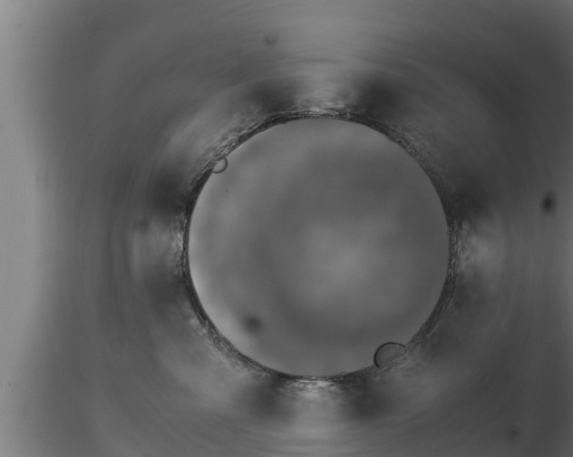 X0000116760427200912241146