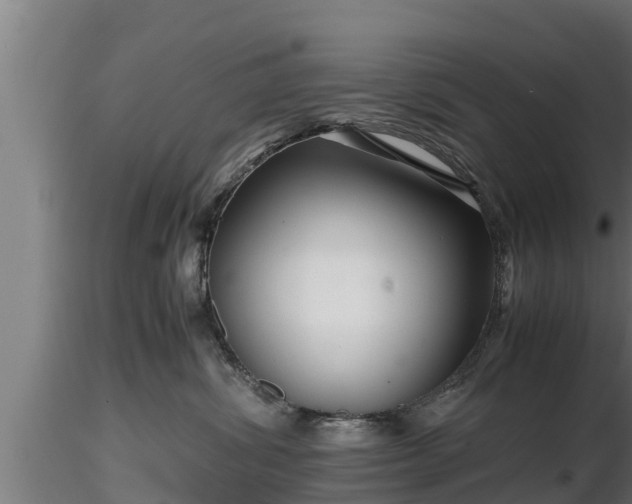 X0000116760428200912241146