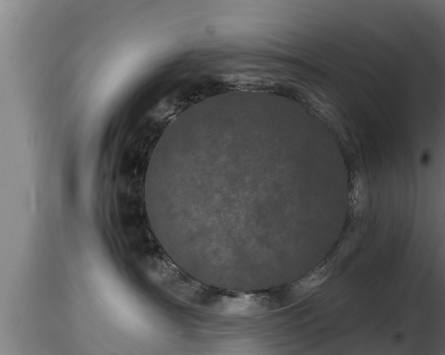 X0000116760430200912241146