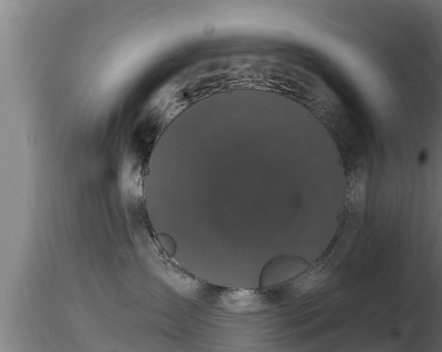 X0000116760431200912241146