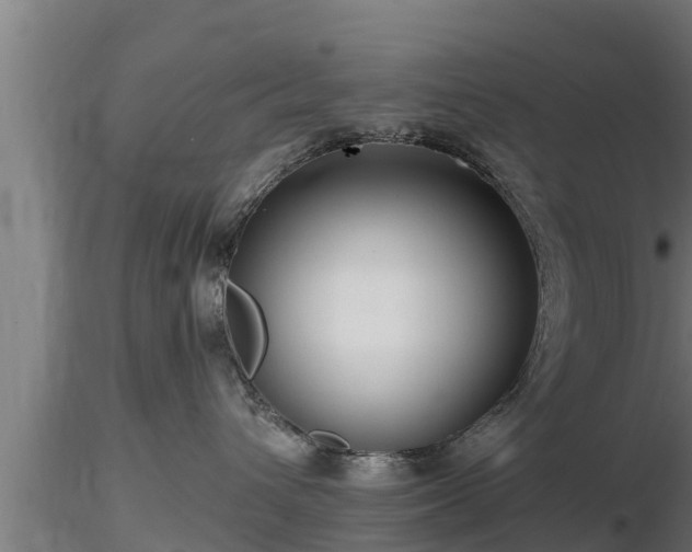 X0000116760432200912241146