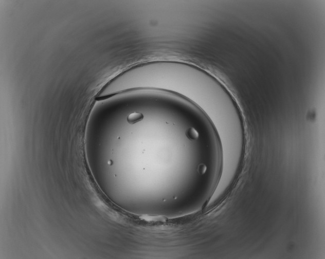 X0000116760433200912241146