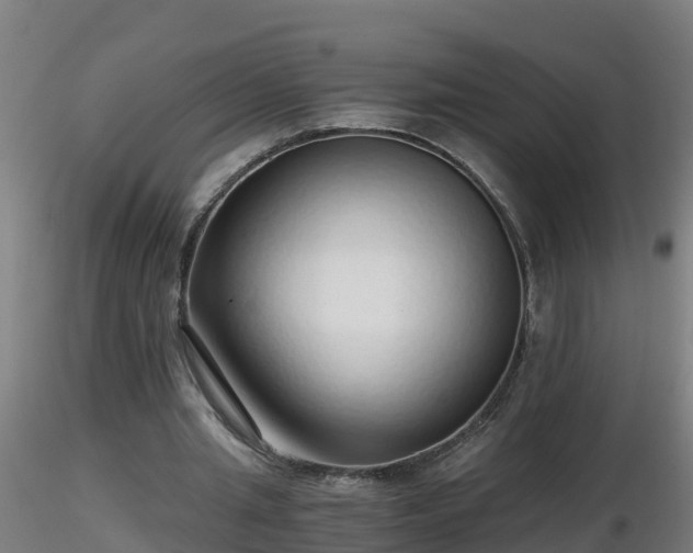 X0000116760437200912241146