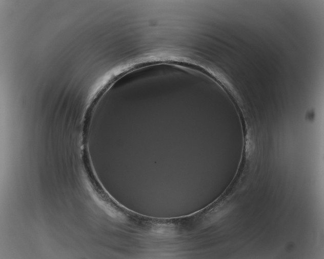 X0000116760438200912241146