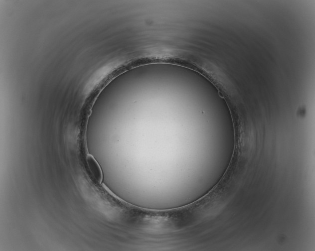 X0000116760440200912241146