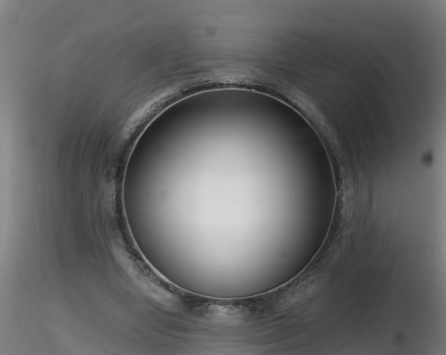 X0000116760442200912241146