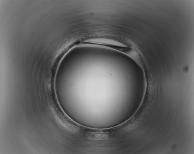 X0000116760443200912241146