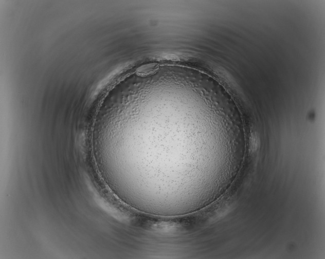 X0000116760444200912241146