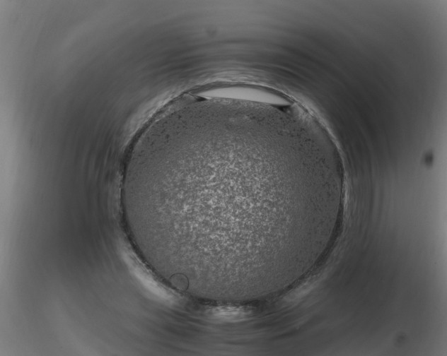 X0000116760445200912241146