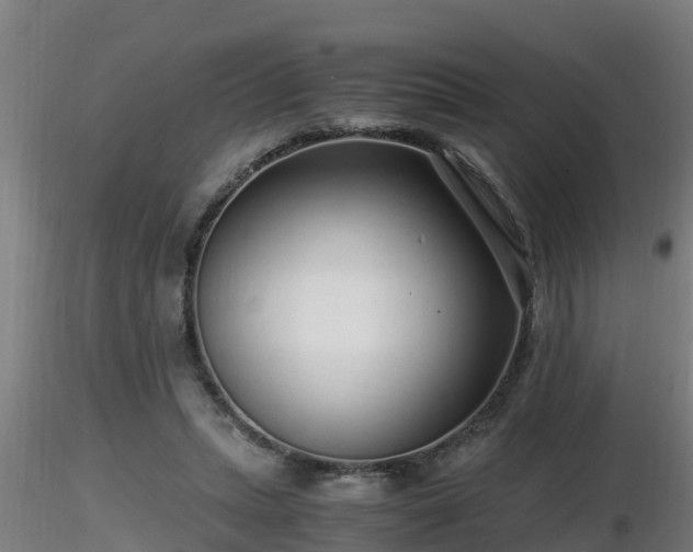 X0000116760447200912241146