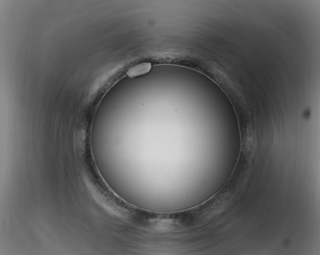 X0000116760448200912241146