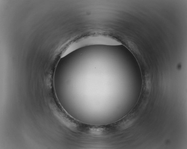 X0000116760450200912241146