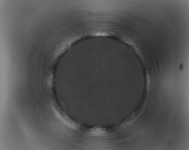 X0000116760451200912241146