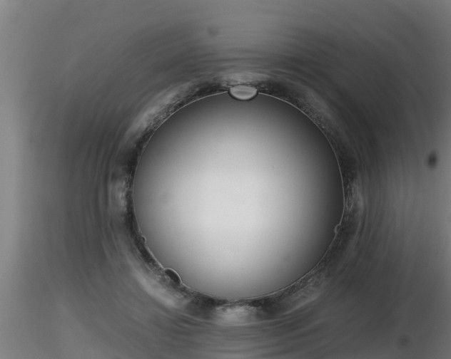 X0000116760452200912241146