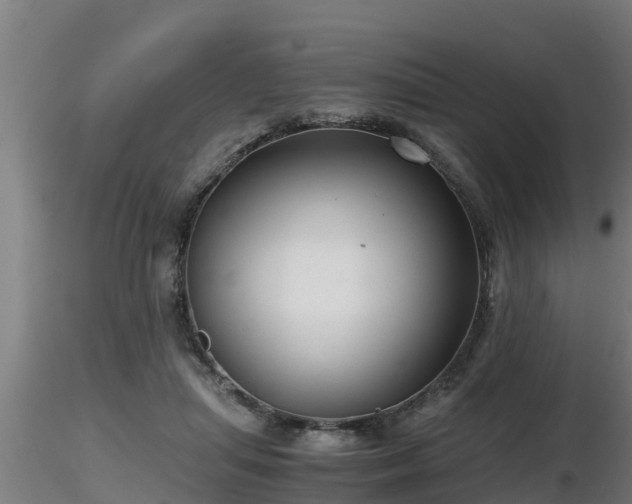 X0000116760455200912241146