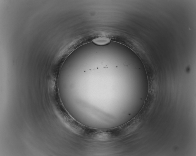 X0000116760456200912241146